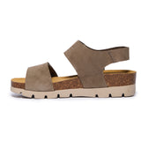 Compi Khaki