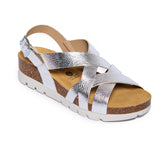 Compass Metallic Silver