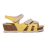 Ash Yellow Khaki