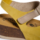 Ash Yellow Khaki